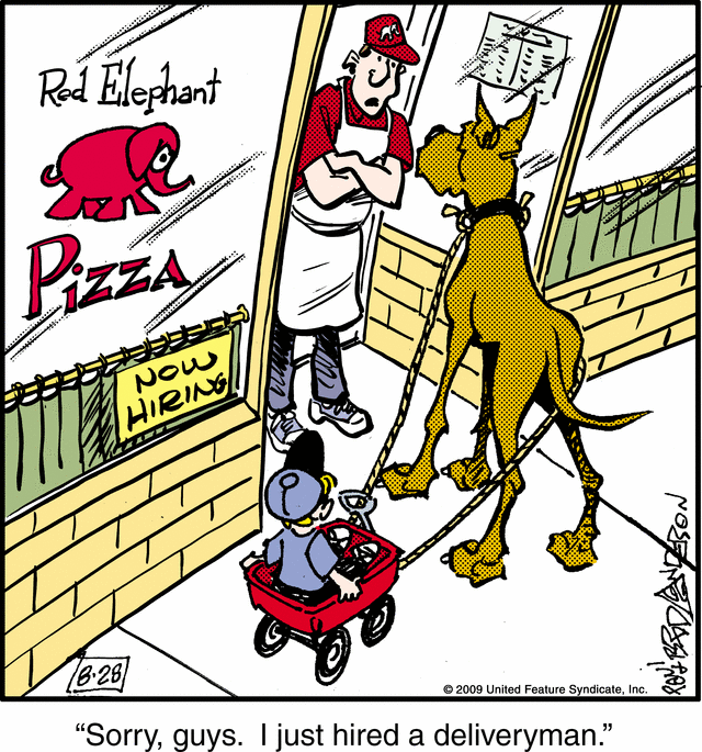 marmaduke